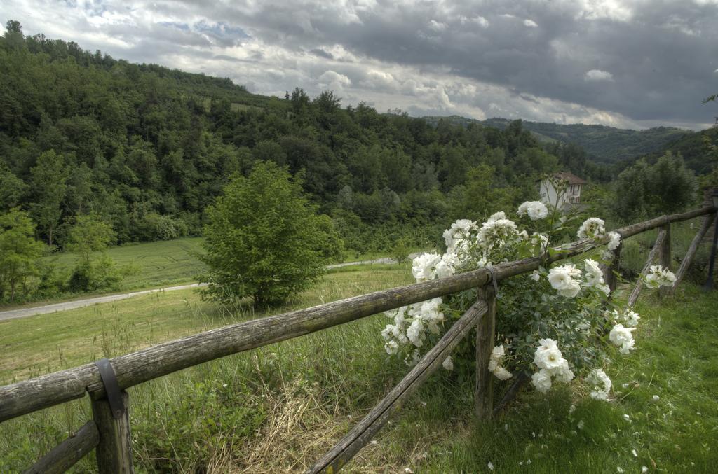 B&B Il Sole Delle Rive Sinio Buitenkant foto