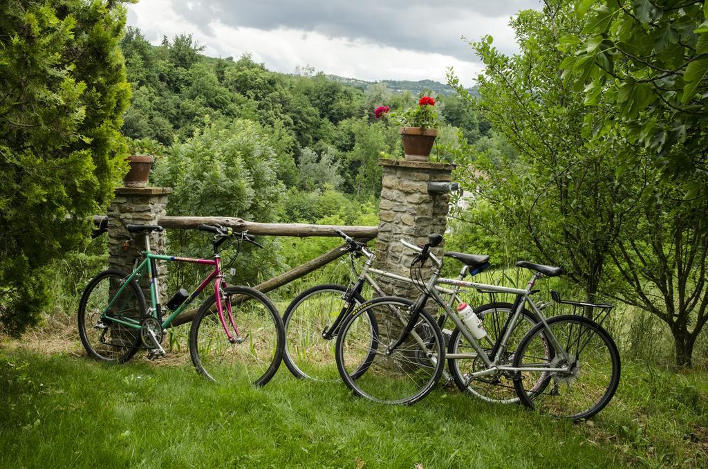 B&B Il Sole Delle Rive Sinio Buitenkant foto